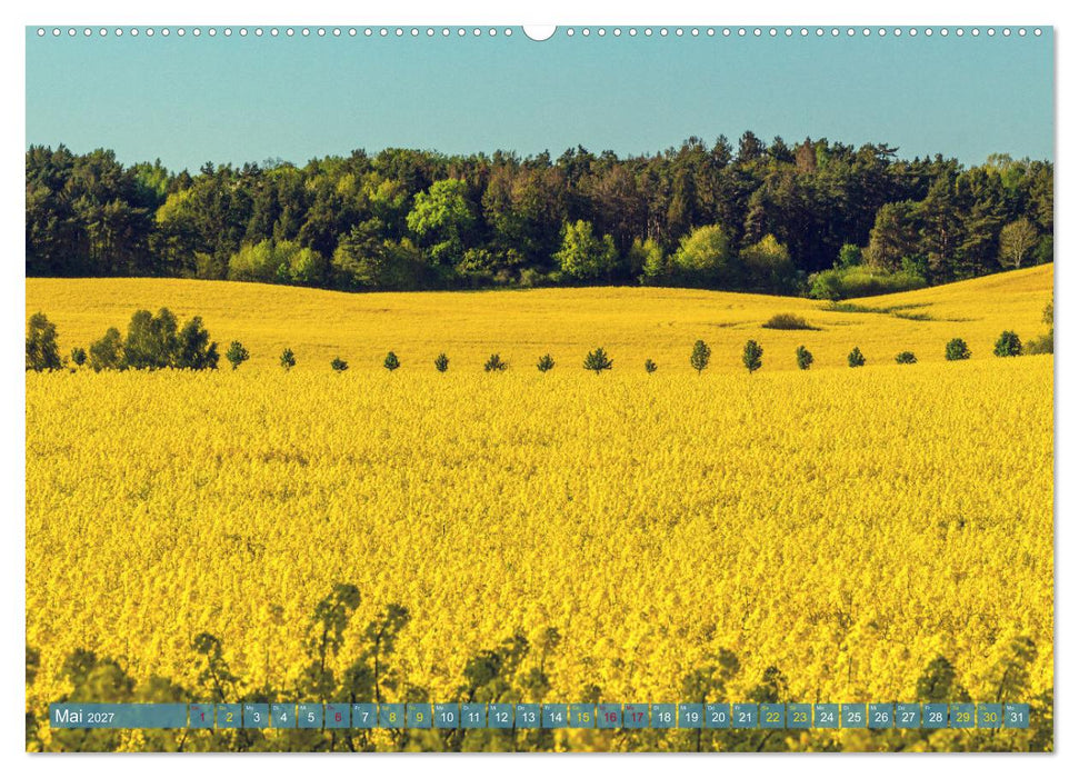 Buschvitz - Geografischer Mittelpunkt der Insel Rügen (CALVENDO Premium Wandkalender 2027)