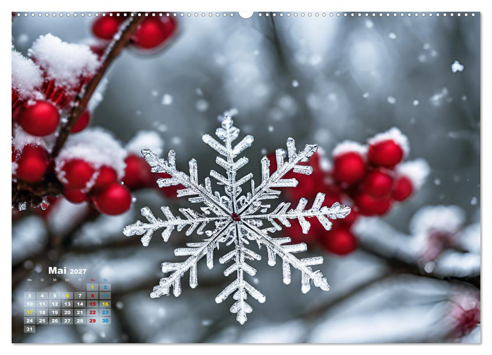 Schneekristalle und Eiszapfen Eisige Zeiten für alle Winterfans (CALVENDO Wandkalender 2027)