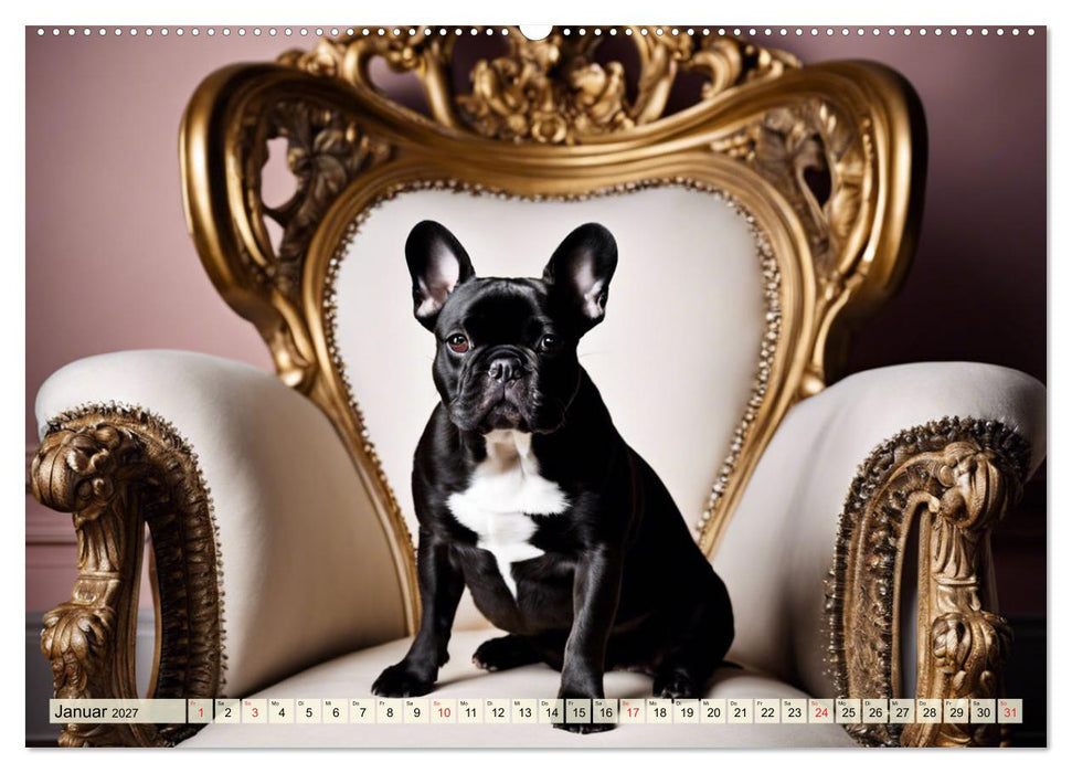 Kleine Könige - Französische Bulldoggen (CALVENDO Premium Wandkalender 2027)