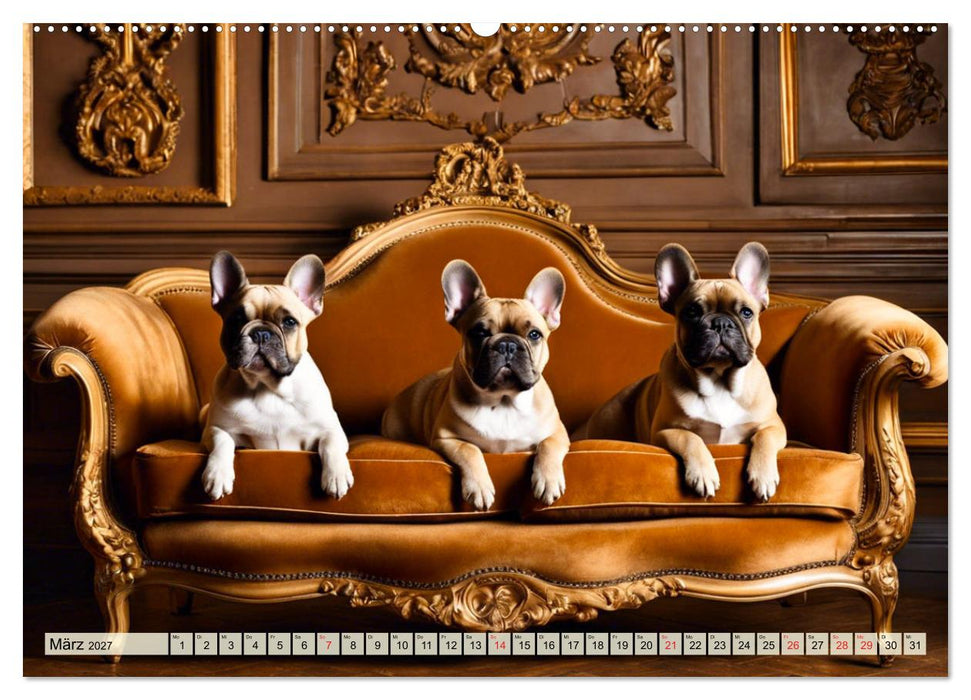 Kleine Könige - Französische Bulldoggen (CALVENDO Premium Wandkalender 2027)