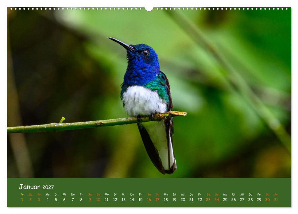 Costa Rica - Naturparadies zwischen Karibik und Pazifik (CALVENDO Wandkalender 2027)