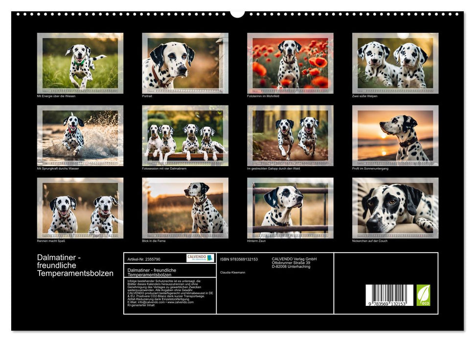 Dalmatiner - freundliche Temperamentsbolzen (CALVENDO Premium Wandkalender 2027)