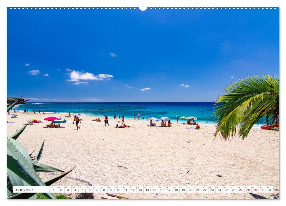 Île de la Réunion - Le paradis français dans l'océan Indien (CALVENDO Calendrier mensuel 2027)