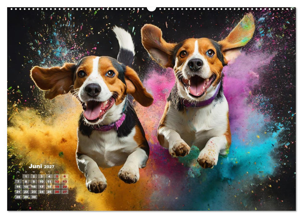 Holi Pulver - Doppelte Action (CALVENDO Premium Wandkalender 2027)