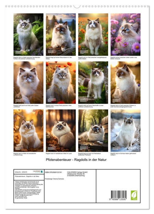 Pfotenabenteuer - Ragdolls in der Natur (CALVENDO Premium Wandkalender 2027)