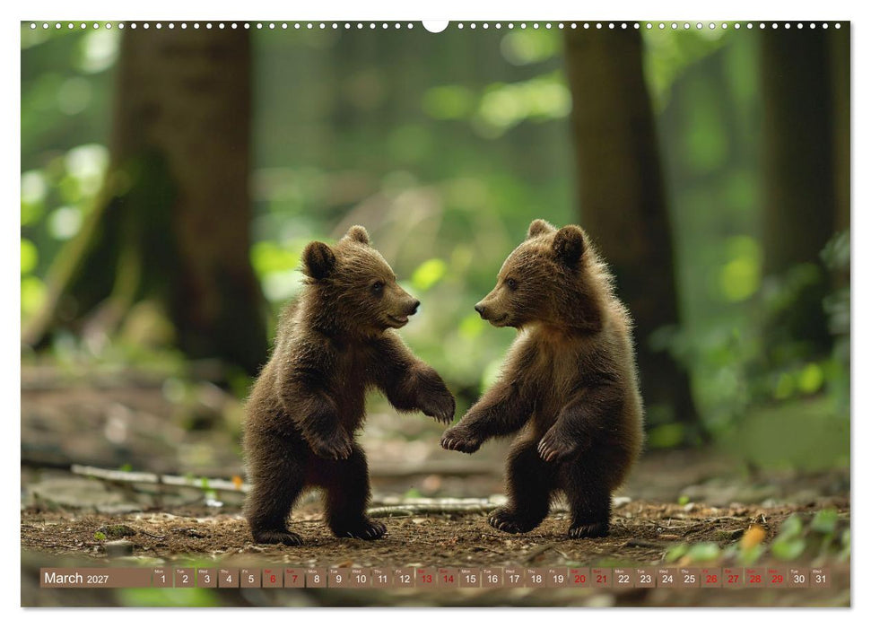 Bears Kingdom (CALVENDO Premium-Calendar 2027)