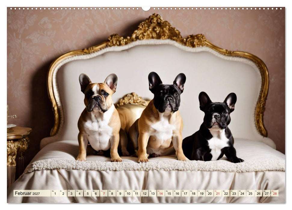 Kleine Könige - Französische Bulldoggen (CALVENDO Wandkalender 2027)