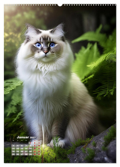 Pfotenabenteuer - Ragdolls in der Natur (CALVENDO Wandkalender 2027)