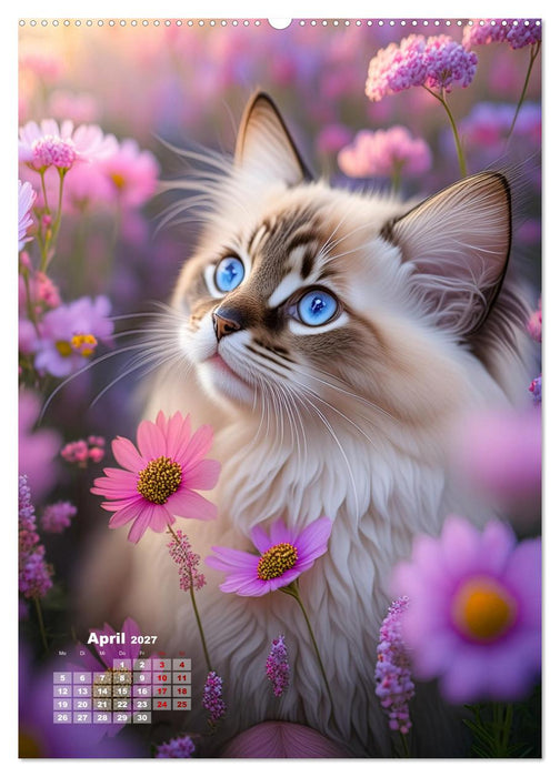 Pfotenabenteuer - Ragdolls in der Natur (CALVENDO Wandkalender 2027)