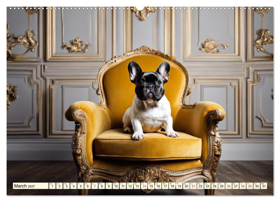 Little kings - French Bulldogs (CALVENDO Monthly Calendar 2027)
