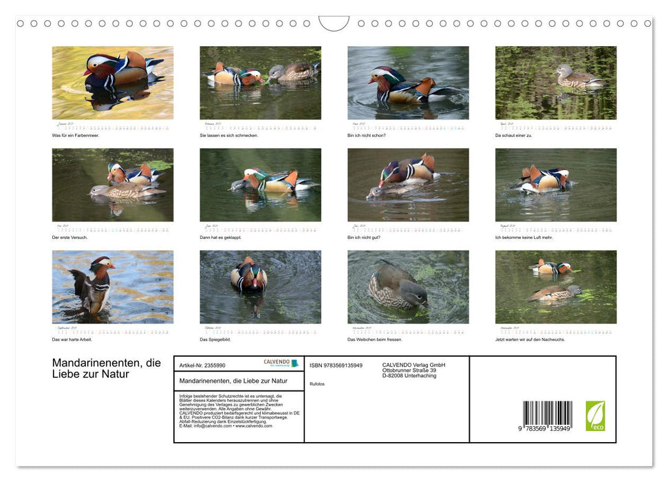 Mandarinenenten, die Liebe zur Natur (CALVENDO Wandkalender 2027)