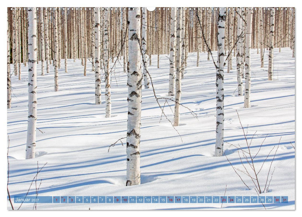 Wildes Finnland (CALVENDO Wandkalender 2027)