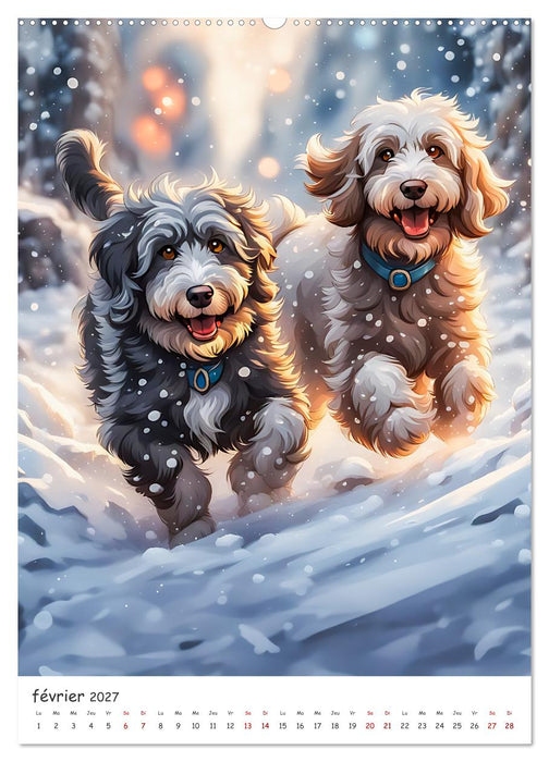 Les charmants caniches d'Aussied - Angelika Beuck (CALVENDO Calendrier mensuel 2027)