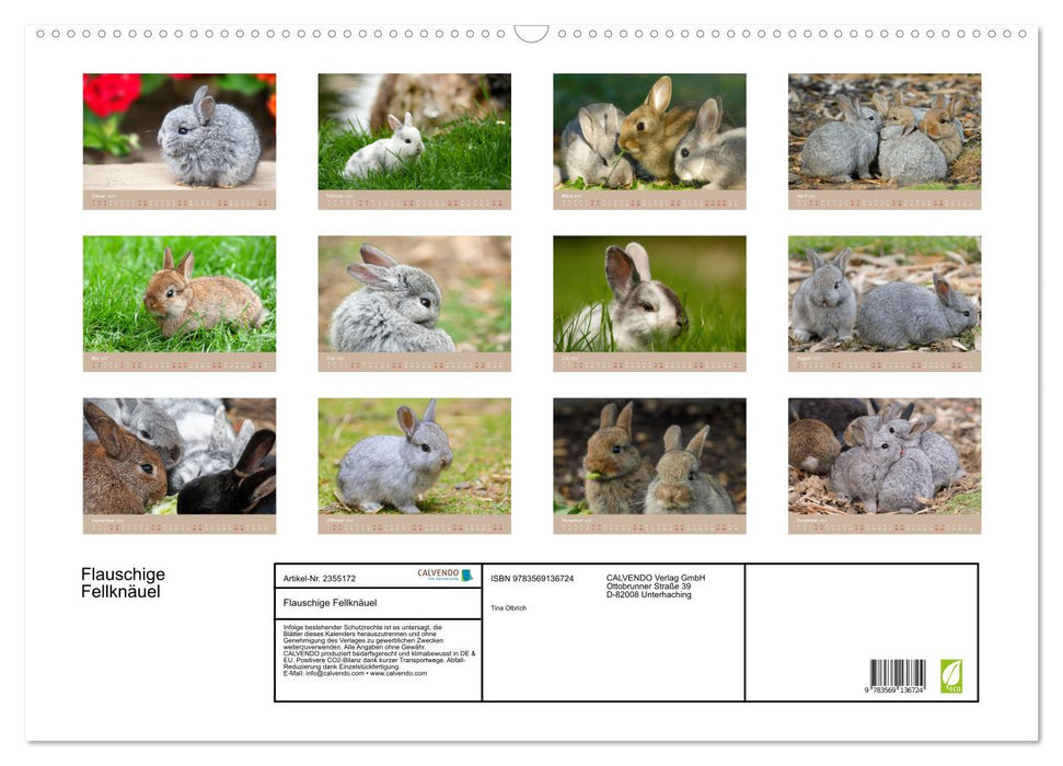 Flauschige Fellknäuel (CALVENDO Wandkalender 2027)