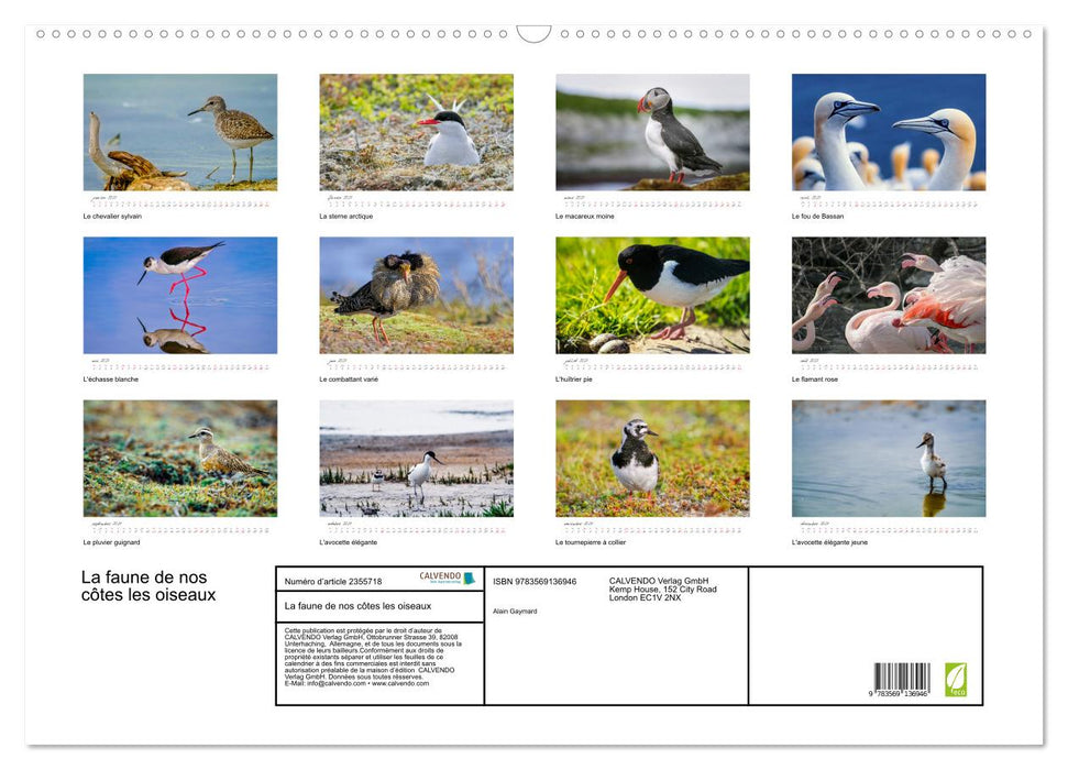 La faune de nos côtes les oiseaux (CALVENDO Calendrier mensuel 2027)