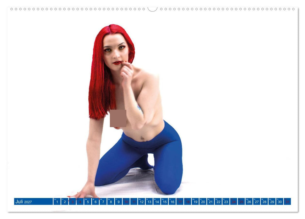 Ästhetische Sinnlichkeit (CALVENDO Premium Wandkalender 2027)