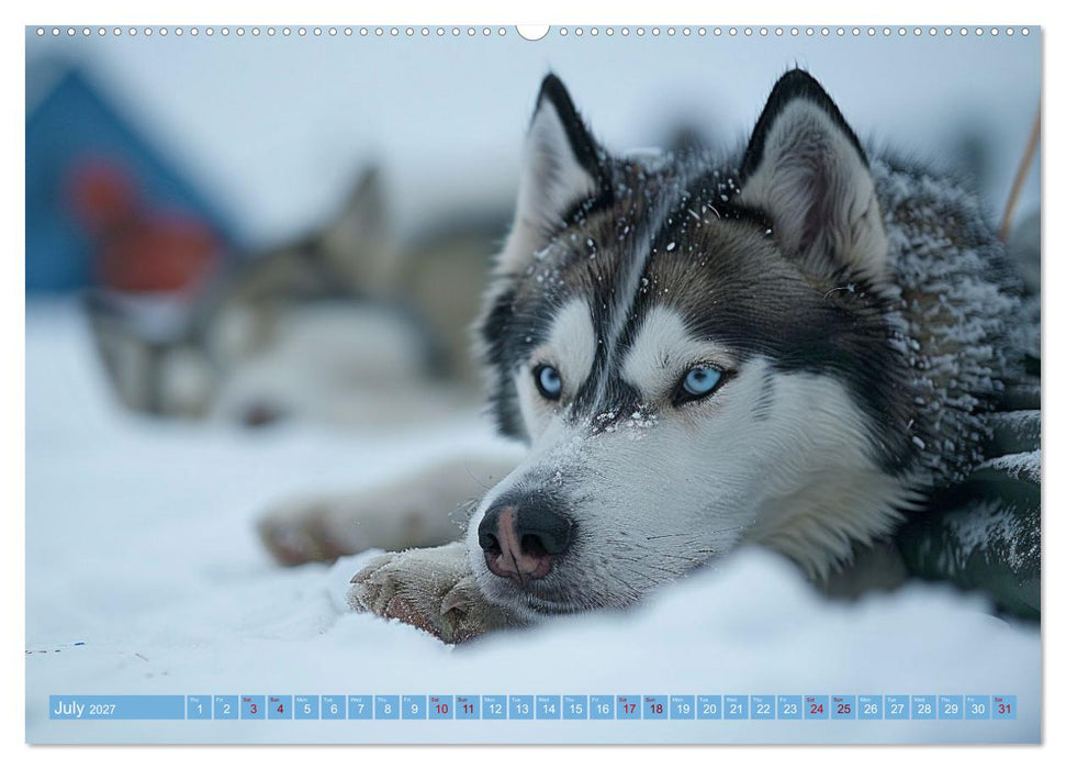 Sled Dogs - the Dream of Running (CALVENDO Premium-Calendar 2027)