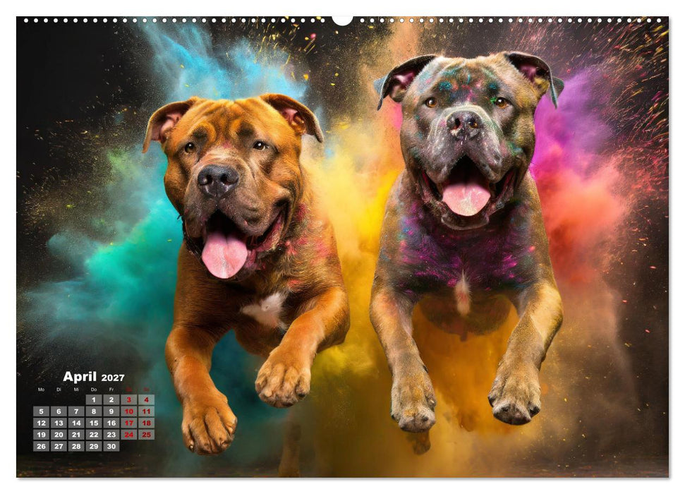 Holi Pulver - Doppelte Action (CALVENDO Wandkalender 2027)