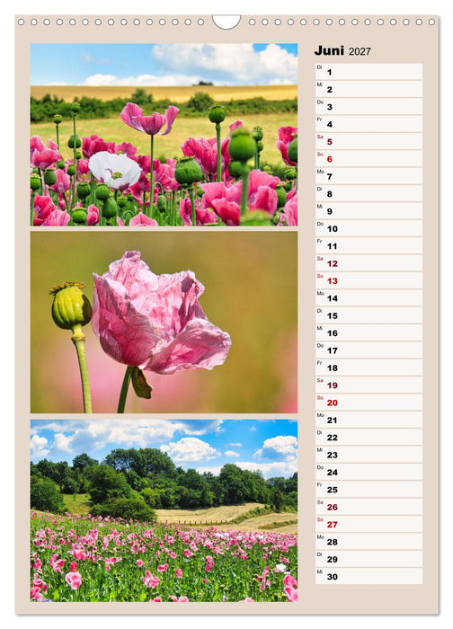 Harmonie der Farben in Landschaft und Natur (CALVENDO Wandkalender 2027)