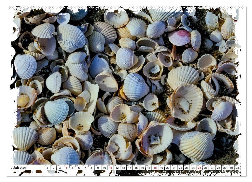 Zingst Sehnsucht nach Meer (CALVENDO Premium Wandkalender 2027)