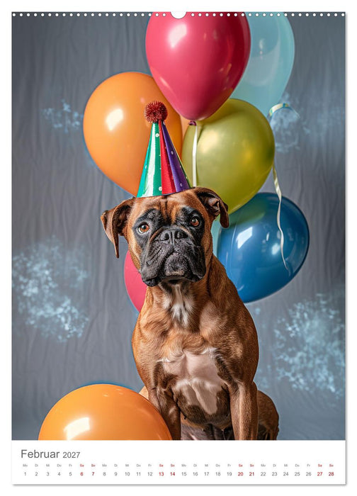 Boxer - Liebenswerte Kasperköpfe (CALVENDO Wandkalender 2027)
