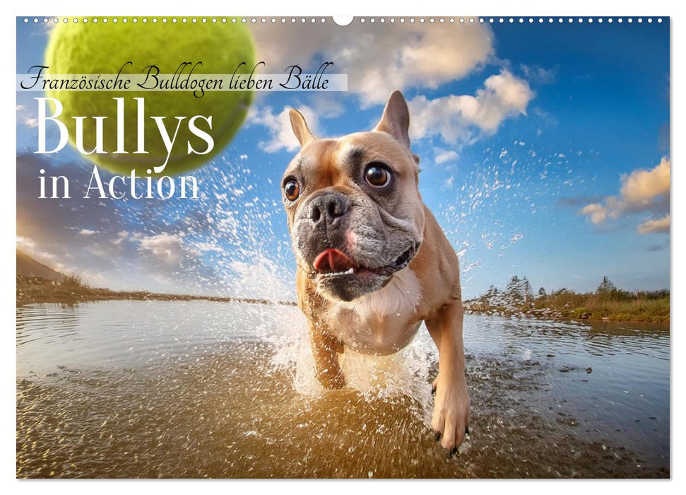 Bullys in Action - Französische Bulldoggen lieben Bälle (CALVENDO Wandkalender 2027)