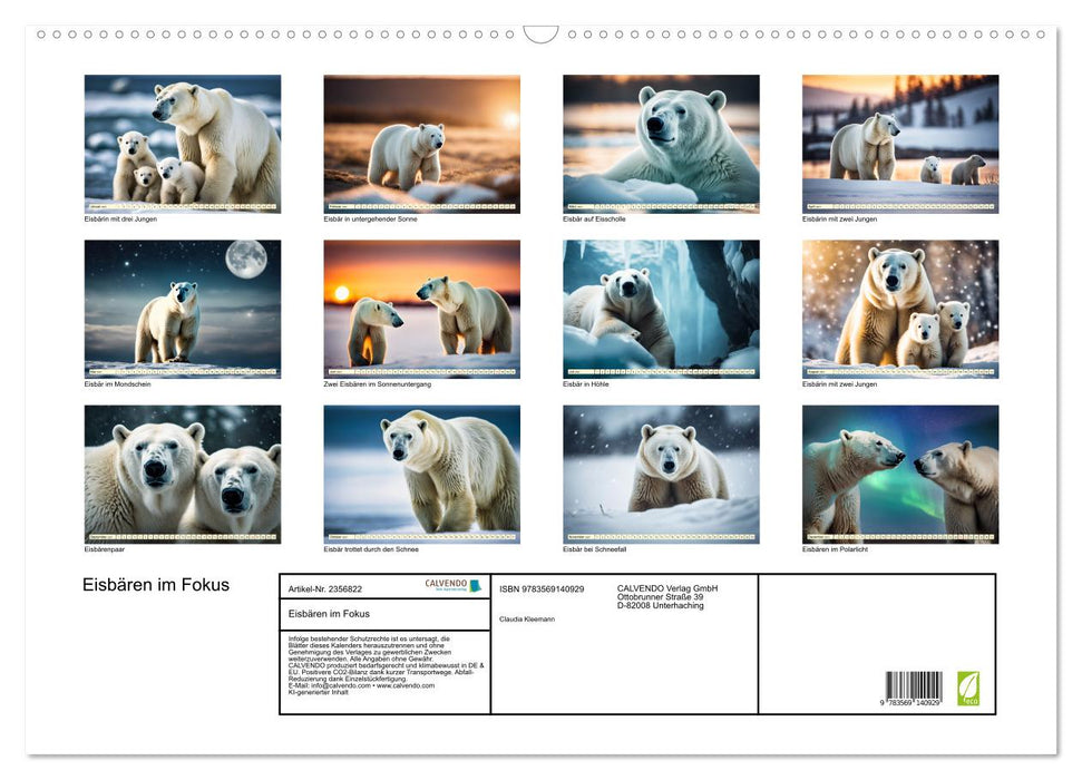Eisbären im Fokus (CALVENDO Wandkalender 2027)