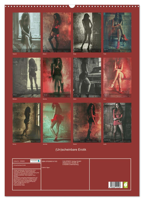 (Un)scheinbare Erotik (CALVENDO Wandkalender 2027)