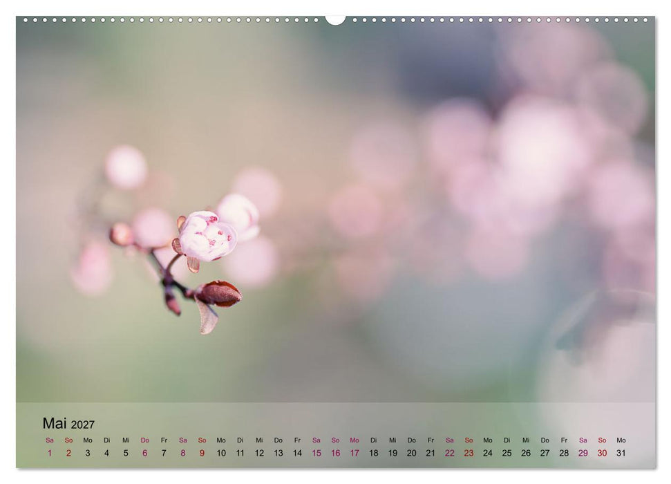 Blütenrausch - Mit Frühlingsgefühlen durchs ganze Jahr (CALVENDO Premium Wandkalender 2027)
