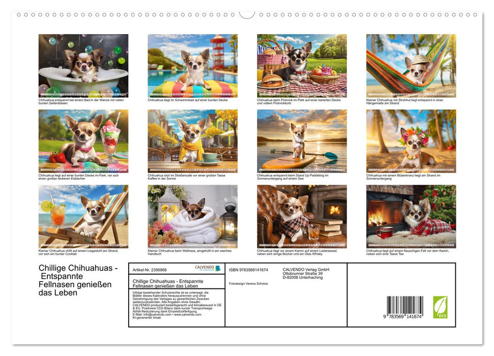 Chillige Chihuahuas - Entspannte Fellnasen genießen das Leben (CALVENDO Premium Wandkalender 2027)