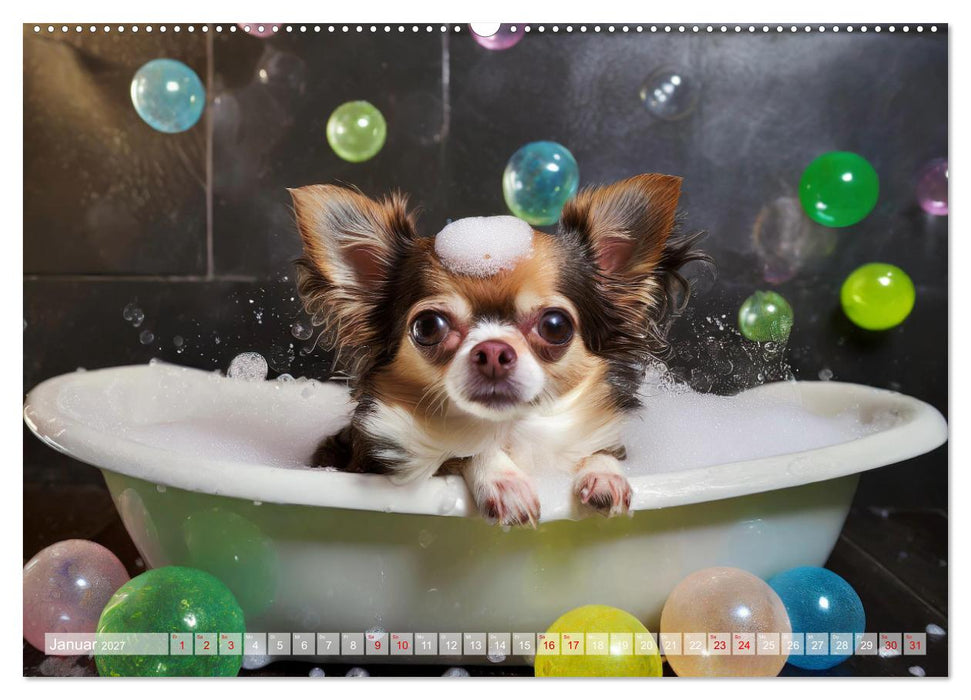 Chillige Chihuahuas - Entspannte Fellnasen genießen das Leben (CALVENDO Premium Wandkalender 2027)