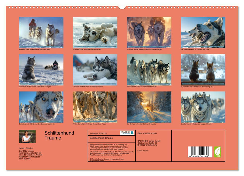Schlittenhund Träume (CALVENDO Premium Wandkalender 2027)
