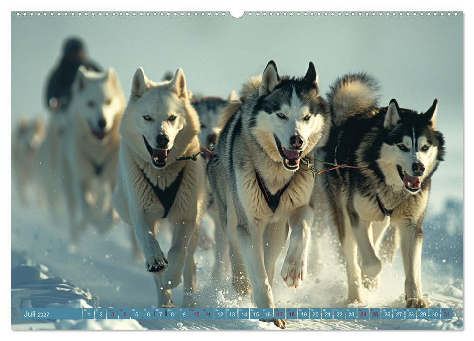 Schlittenhund Träume (CALVENDO Premium Wandkalender 2027)