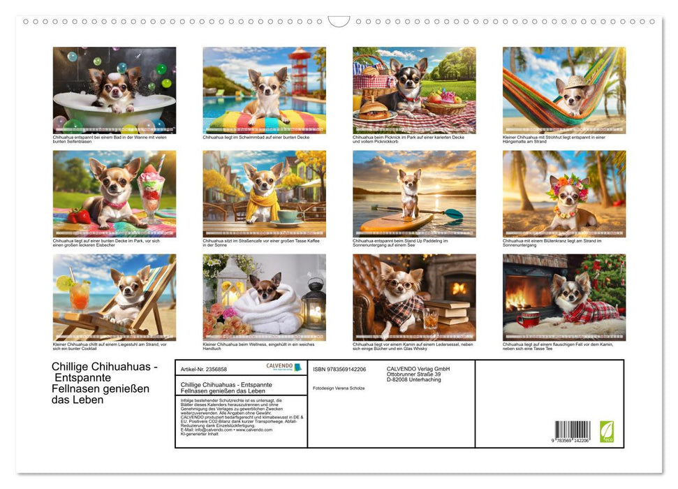 Chillige Chihuahuas - Entspannte Fellnasen genießen das Leben (CALVENDO Wandkalender 2027)