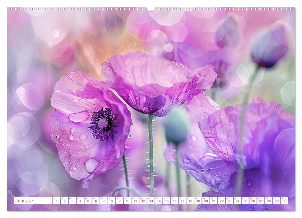 Bezaubernde Mohnblumen (CALVENDO Wandkalender 2027)