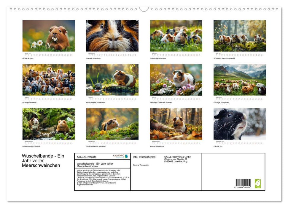 Wuschelbande - Ein Jahr voller Meerschweinchen (CALVENDO Wandkalender 2027)