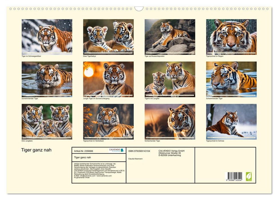 Tiger ganz nah (CALVENDO Wandkalender 2027)