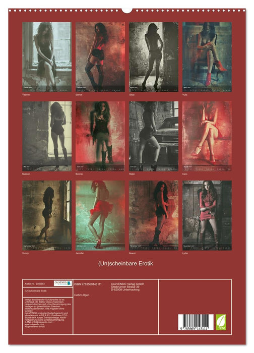 (Un)scheinbare Erotik (CALVENDO Premium Wandkalender 2027)