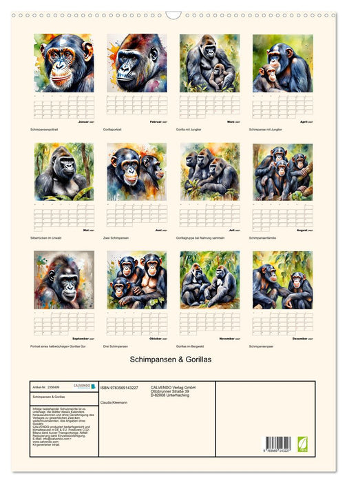 Schimpansen & Gorillas (CALVENDO Wandkalender 2027)