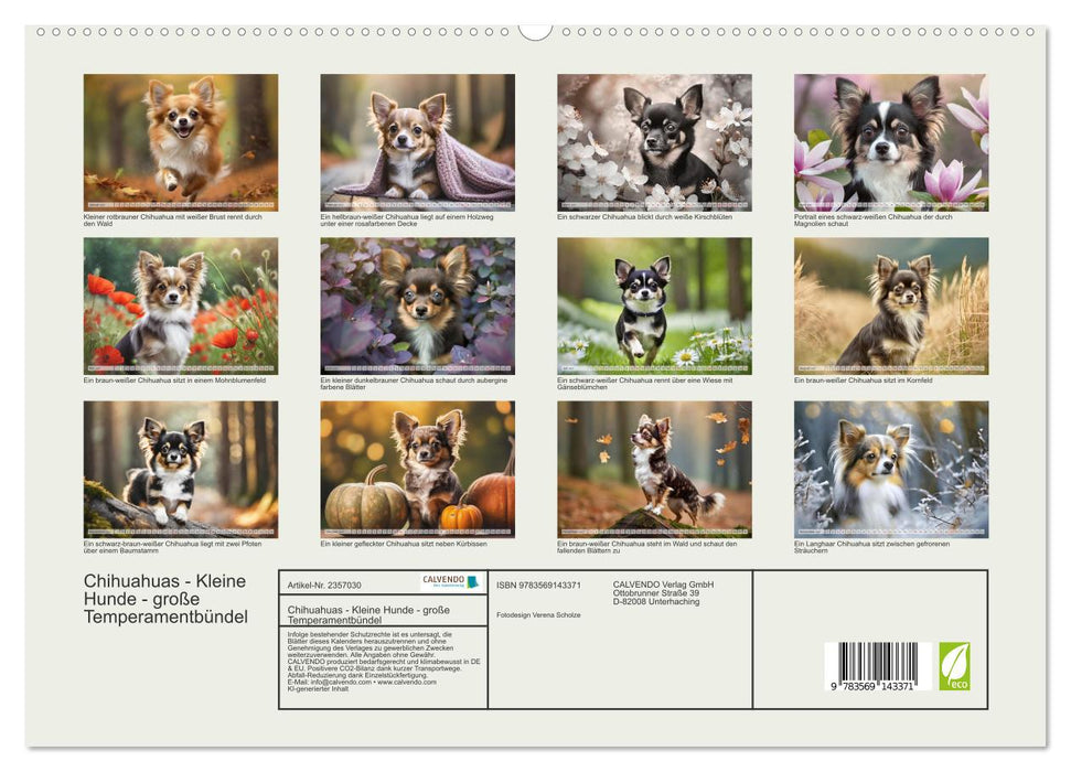 Chihuahuas - Kleine Hunde - große Temperamentbündel (CALVENDO Premium Wandkalender 2027)