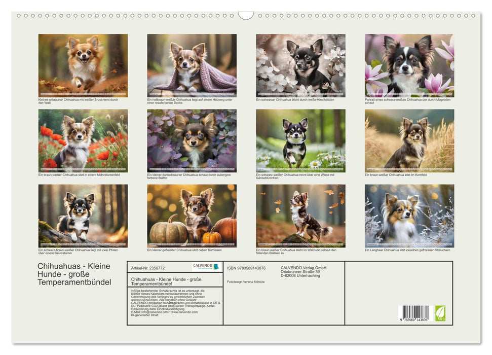 Chihuahuas - Kleine Hunde - große Temperamentbündel (CALVENDO Wandkalender 2027)