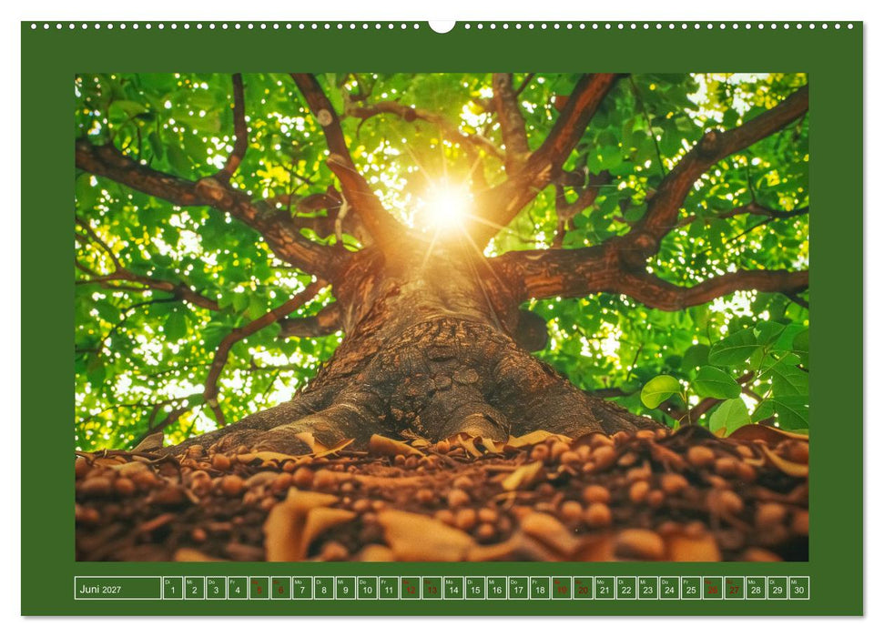 Die Zeitreisenden des Waldes (CALVENDO Wandkalender 2027)
