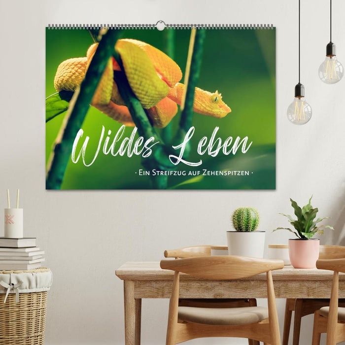 Wildes Leben - Ein Streifzug auf Zehenspitzen (CALVENDO Wandkalender 2027)