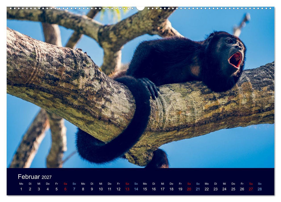 Wildes Leben - Ein Streifzug auf Zehenspitzen (CALVENDO Wandkalender 2027)