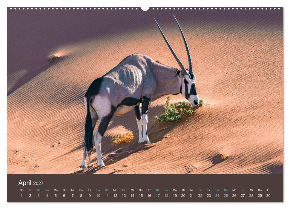 Wildes Leben - Ein Streifzug auf Zehenspitzen (CALVENDO Wandkalender 2027)