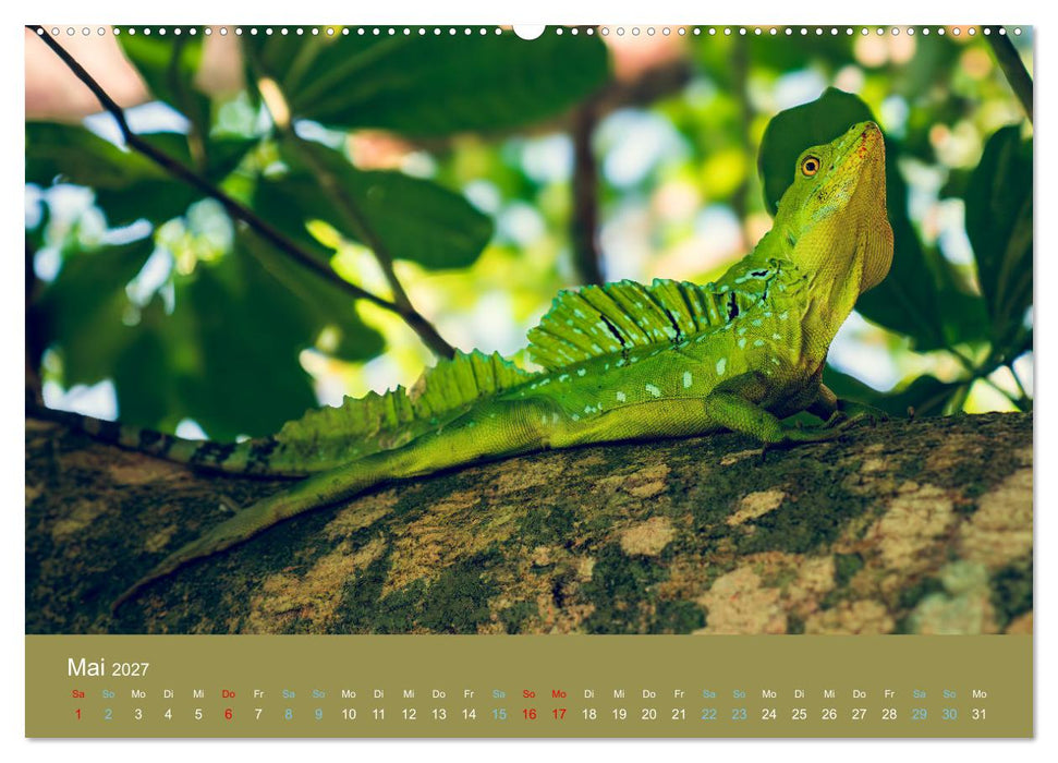 Wildes Leben - Ein Streifzug auf Zehenspitzen (CALVENDO Wandkalender 2027)
