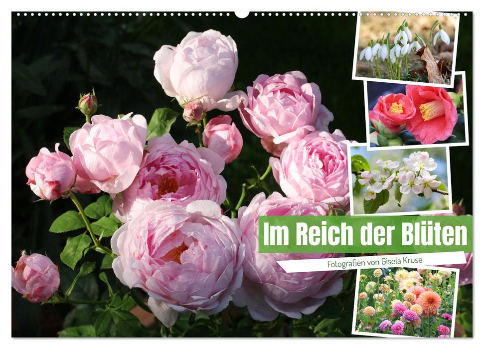 Im Reich der Blüten (CALVENDO Wandkalender 2027)