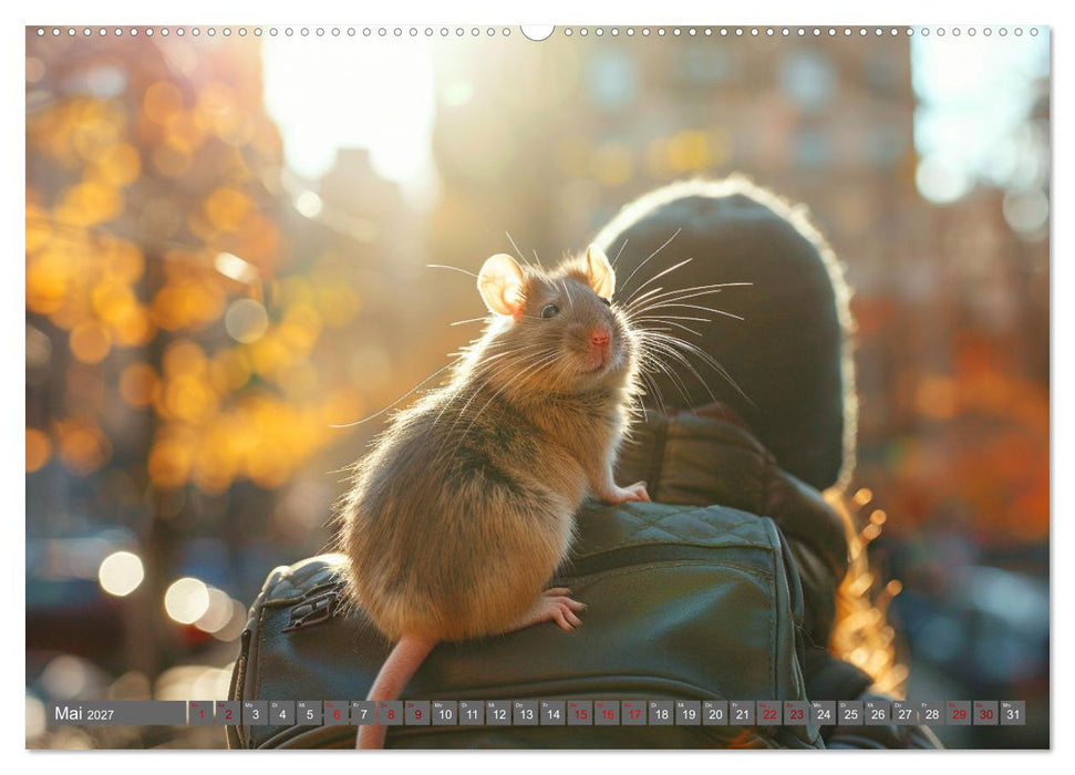 Mein bester Kumpel ist eine Ratte (CALVENDO Premium Wandkalender 2027)