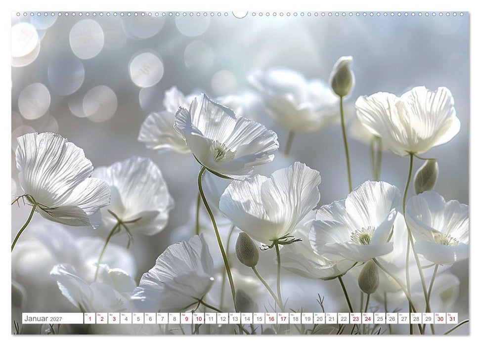 Bezaubernde Mohnblumen (CALVENDO Premium Wandkalender 2027)