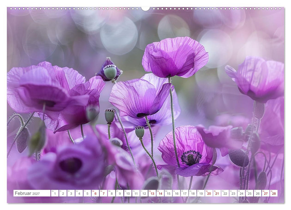 Bezaubernde Mohnblumen (CALVENDO Premium Wandkalender 2027)